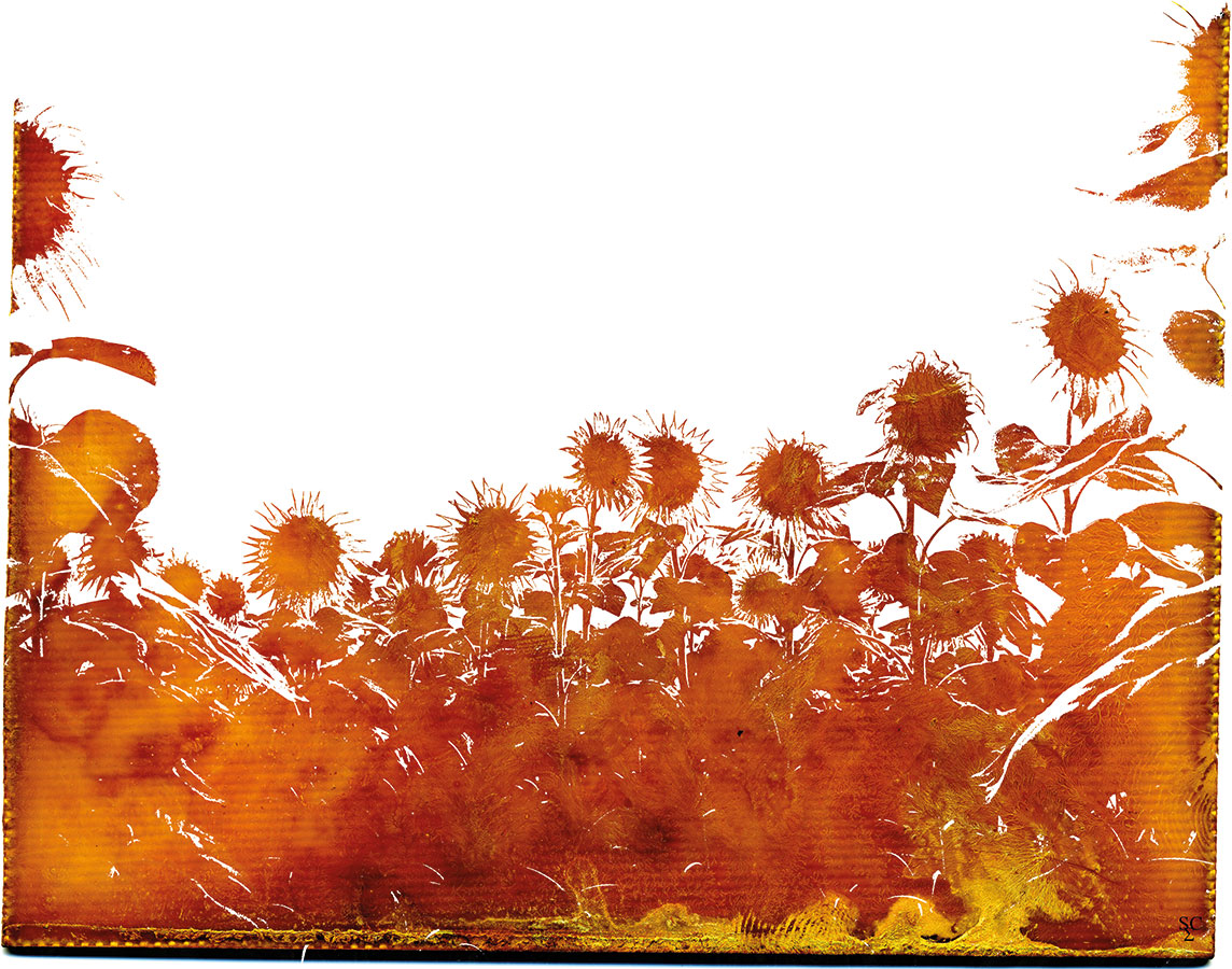 <img alt="" src="/user/pages/03.travaux/04.compositions-visuelles/tout/20.tournesols-2007/tournesols01-zandrine-c.jpg?name" /> par Zandrine C