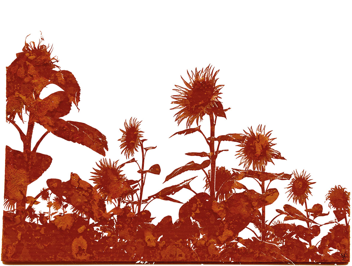 <img alt="" src="/user/pages/03.travaux/04.compositions-visuelles/tout/20.tournesols-2007/tournesols03-zandrine-c.jpg?name" /> par Zandrine C