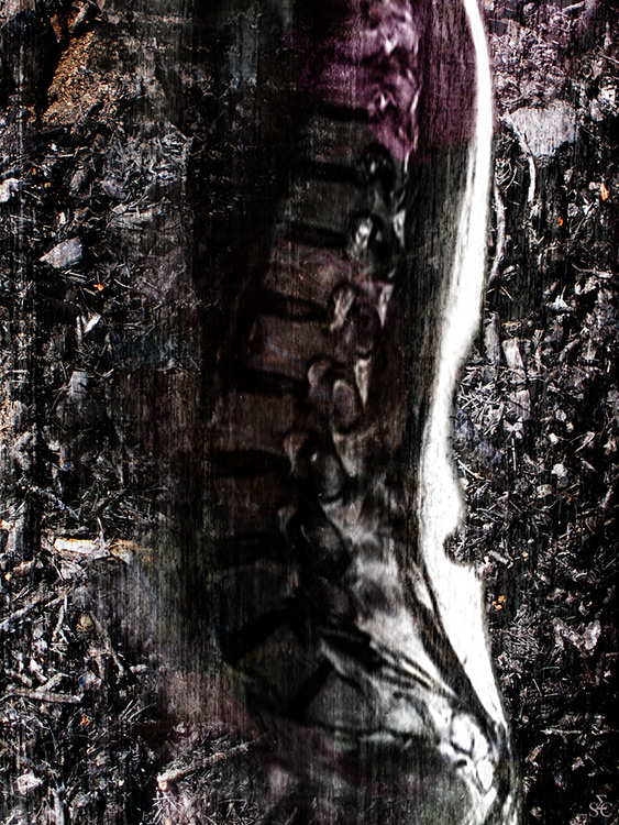 <img alt="" src="/user/pages/03.travaux/04.compositions-visuelles/tout/21.dyptique-vertebral-2006/Vertèbres-Diptyque1-2006.jpg?name" /> par Zandrine C