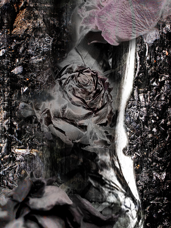 <img alt="" src="/user/pages/03.travaux/04.compositions-visuelles/tout/21.dyptique-vertebral-2006/Vertèbres-Diptyque2-2006.jpg?name" /> par Zandrine C