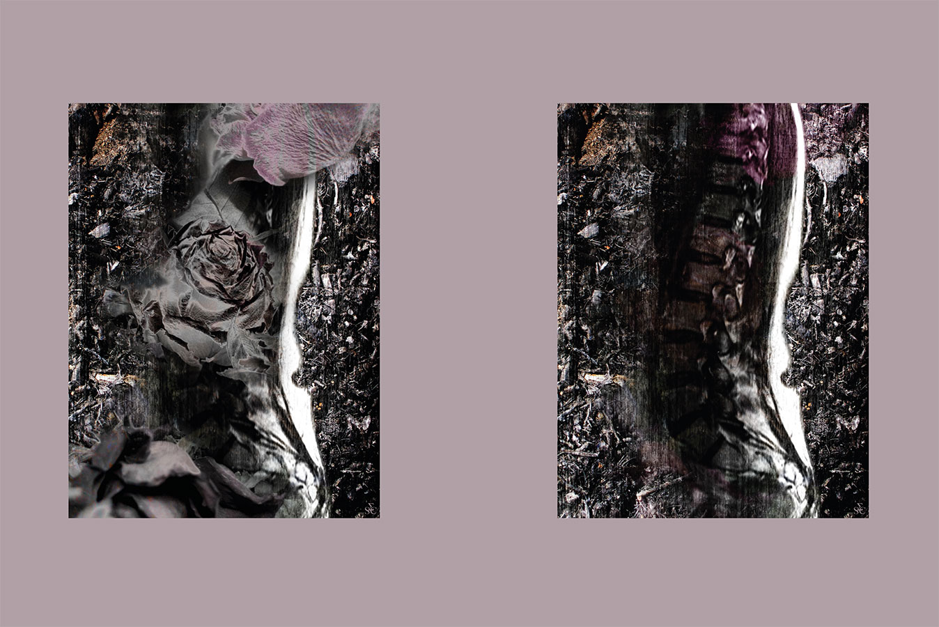 <img alt="" src="/user/pages/03.travaux/04.compositions-visuelles/tout/21.dyptique-vertebral-2006/dyptique-vertebral-bache-web.jpg?name" /> par Zandrine C