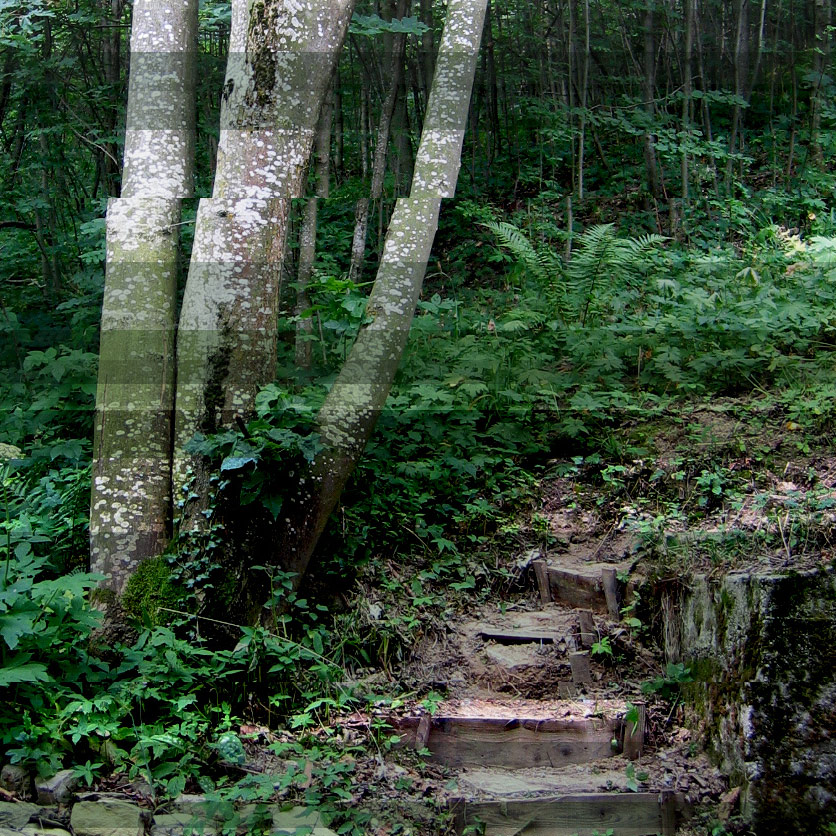 <img alt="" src="/user/pages/03.travaux/04.compositions-visuelles/tout/23.grands-frenes-2005/details-1.jpg?name" /> par Zandrine C