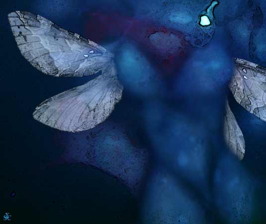 <img alt="" src="/user/pages/03.travaux/04.compositions-visuelles/tout/24.femme-bleue-2003/Femme-bleue-2003.jpg?name" /> par Zandrine C