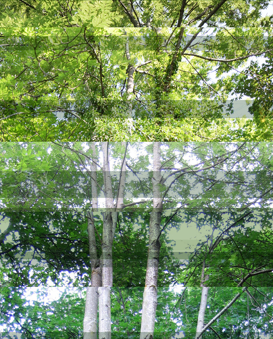 <img alt="" src="/user/pages/03.travaux/04.compositions-visuelles/tout/24.grands-frenes-2005/1-Grands-frenes-2005-zandrine-c-volet.jpg?name" /> par Zandrine C