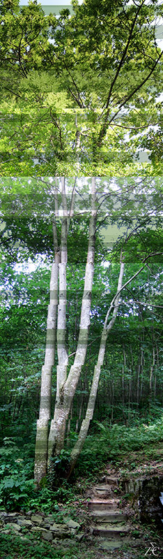 <img alt="" src="/user/pages/03.travaux/04.compositions-visuelles/tout/24.grands-frenes-2005/Grands-frenes-2005-zandrine-c.jpg?name" /> par Zandrine C