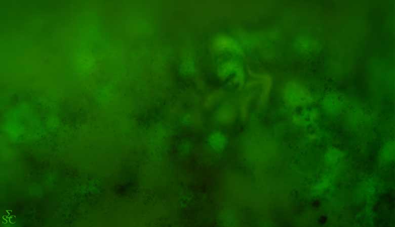 <img alt="" src="/user/pages/03.travaux/04.compositions-visuelles/tout/27.fantomes-2003/Fantômes-2003.jpg?name" /> par Zandrine C