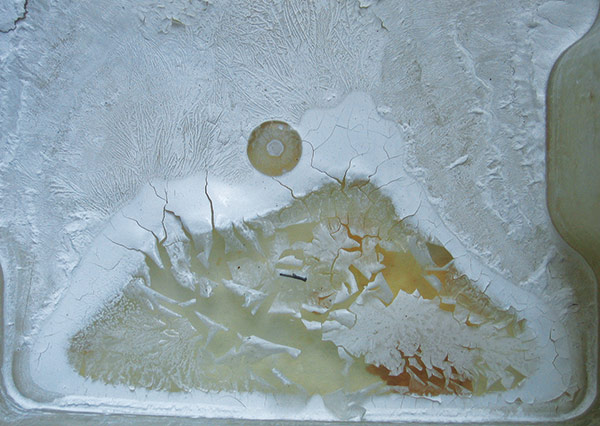 Révélateur 1 par Zandrine C