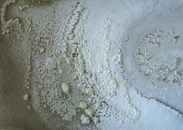 Révélateur 2 par Zandrine C