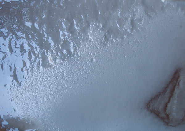 Révélateur 3 par Zandrine C