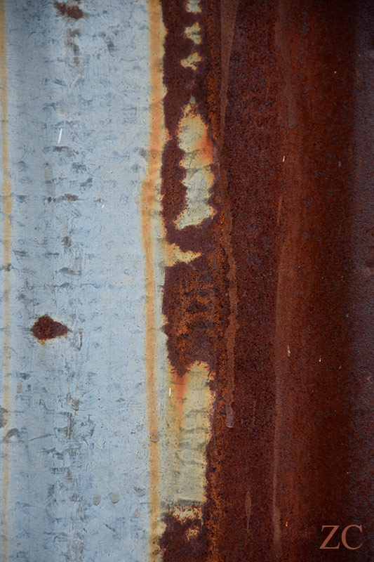 Mangrove par Zandrine C