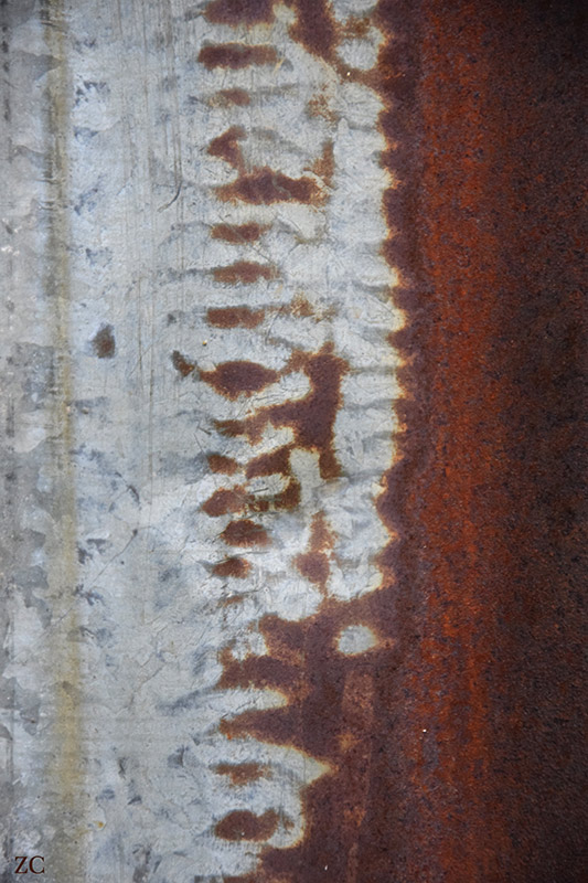 Récifs 1 par Zandrine C