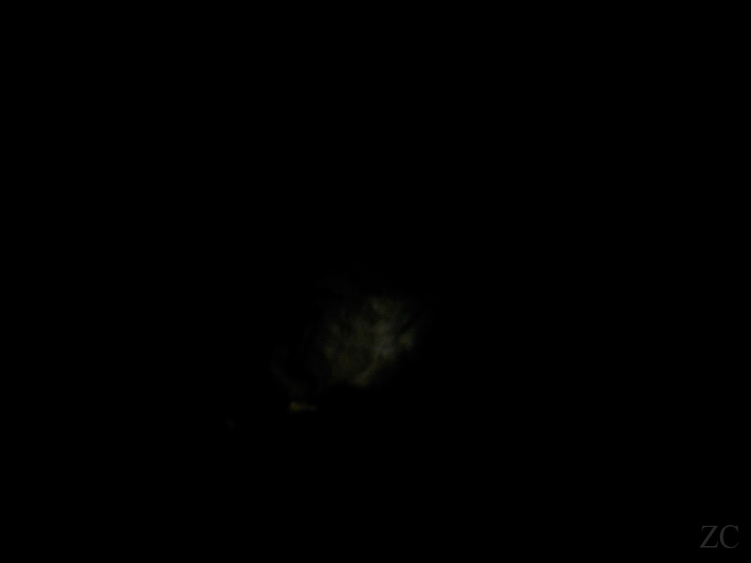 Démon 2 par Zandrine C