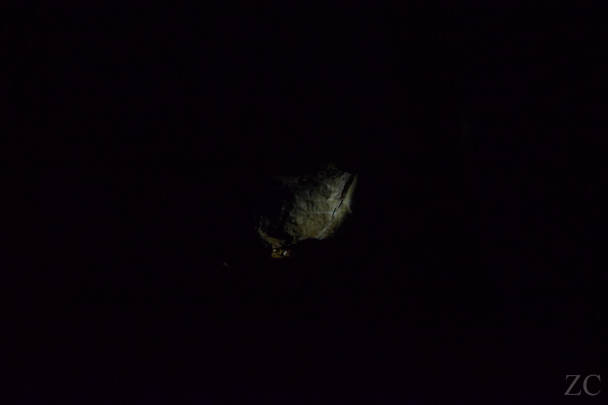 Démon 5 par Zandrine C