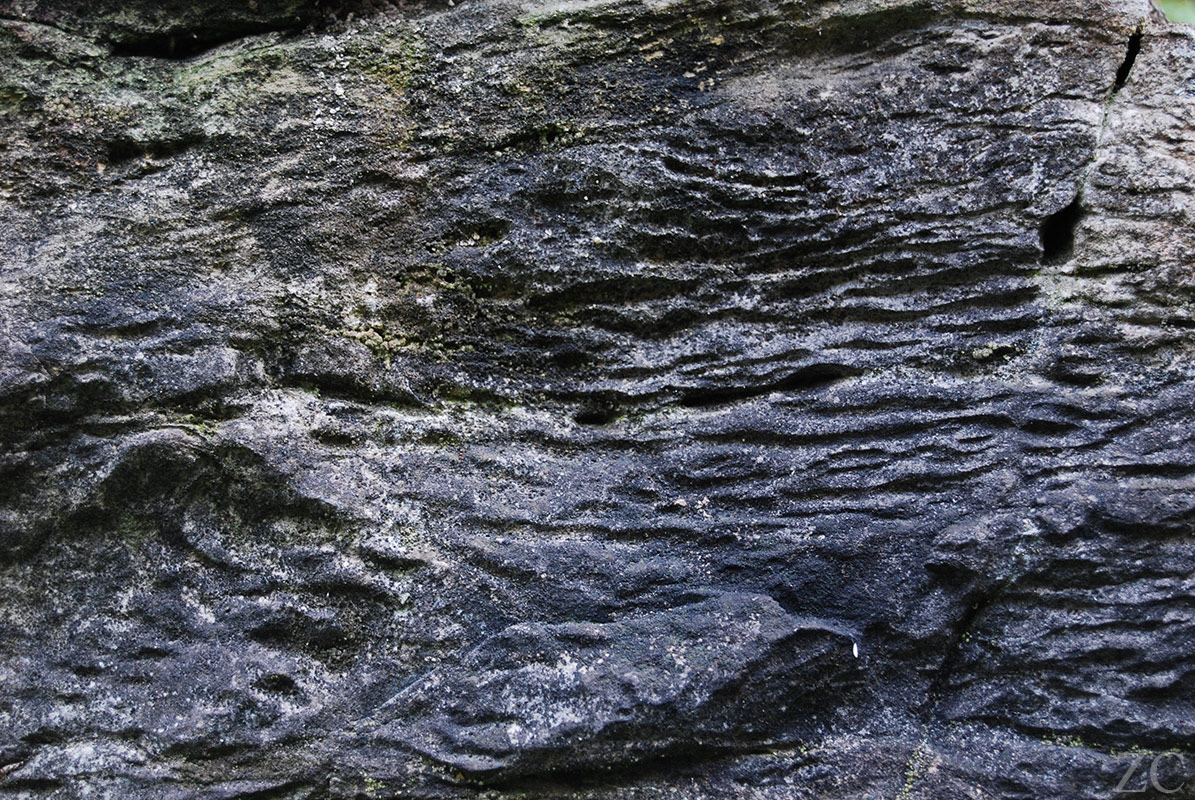 Vagues par Zandrine C