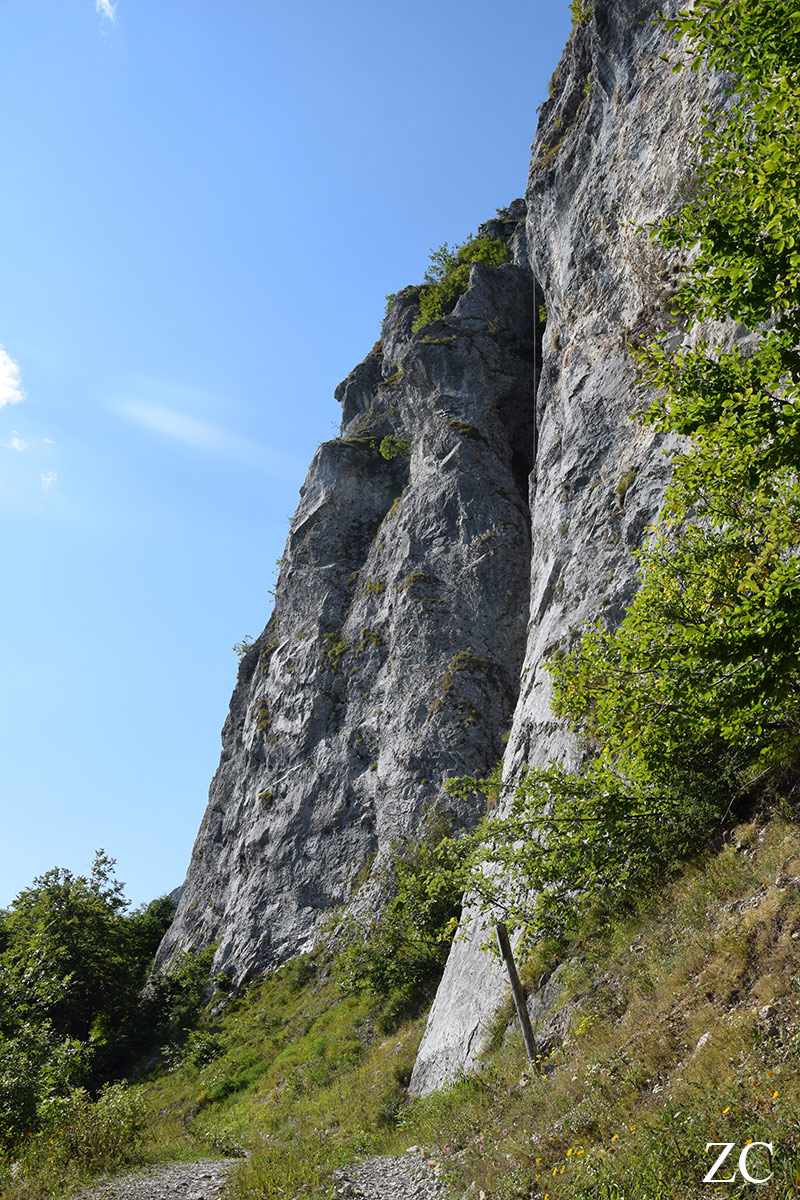 Paroi par Zandrine C