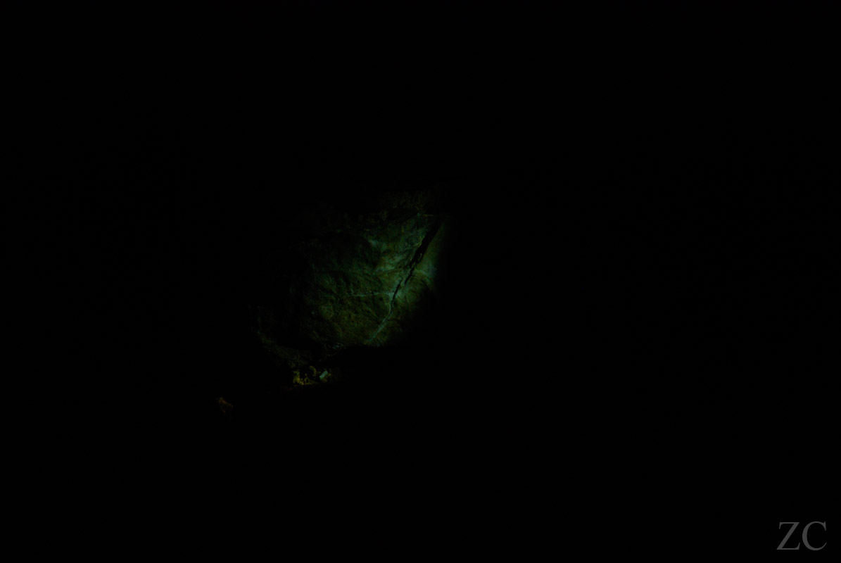 Dans la nuit par Zandrine C