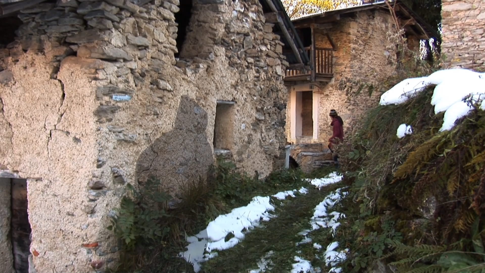 Exposition Videos & Courts-métrages