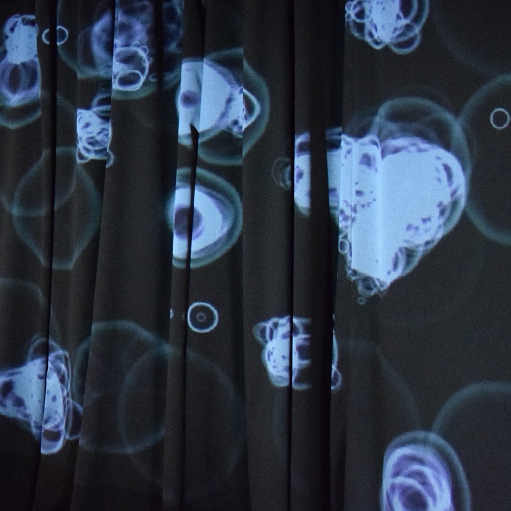 Colloques & Conférences par Zandrine C