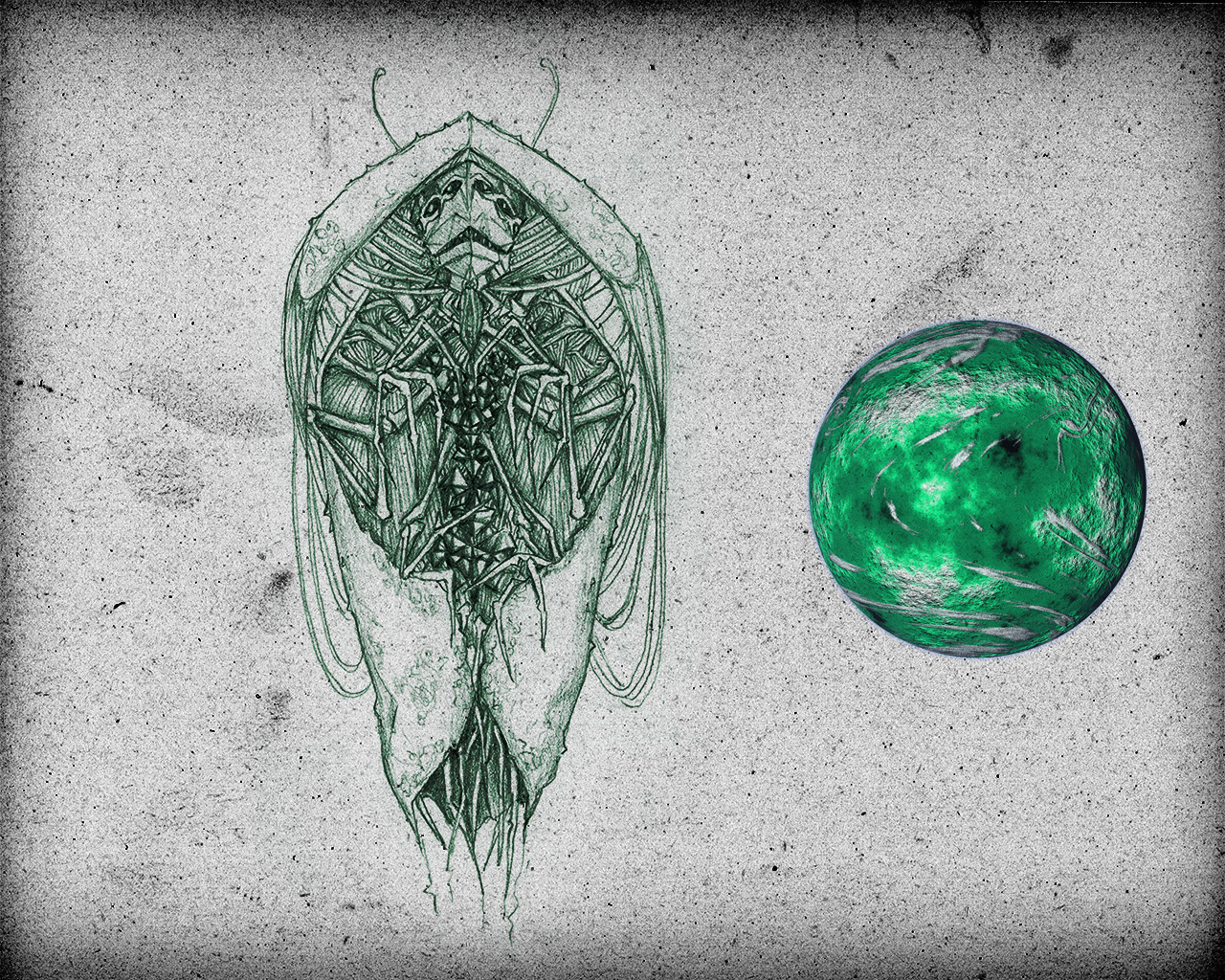 Exposition Installations